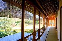 数奇屋造り（雲海）の建物より庭園を望む