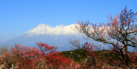 この美しき富士山を守りたい　　ＣＯ２削減に取り組んで行かなくては！