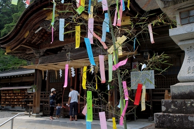 太古の杜　遠江国一宮　小国神社　