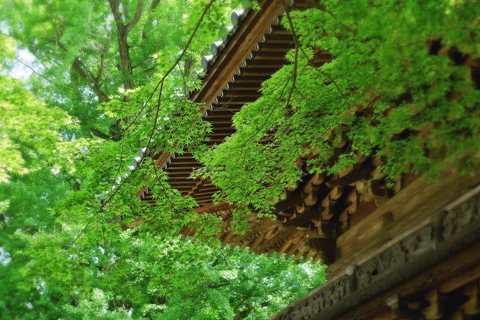静岡県の歴史的建築物　芝川西山本門寺の鐘楼