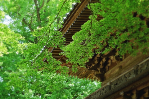 静岡県の歴史的建築物　芝川西山本門寺の鐘楼