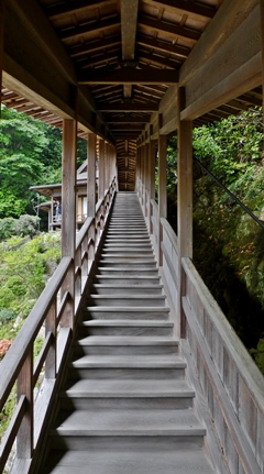 臨済寺　茶室（夢想庵）への外通路（木製外階段）