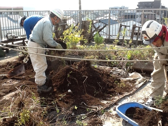 20120210-174020.jpg