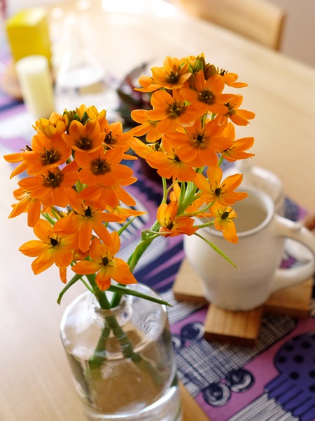 オレンジの花を飾ろう