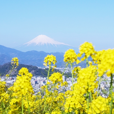 富士山　１１