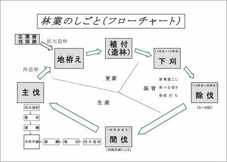 林業