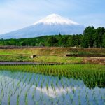 富士山１