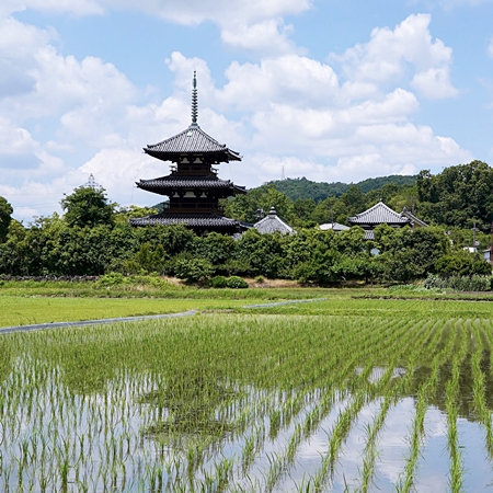 日本の原風景と言ったら、水田に映り込んだ景色かな | 静岡発！笑顔が