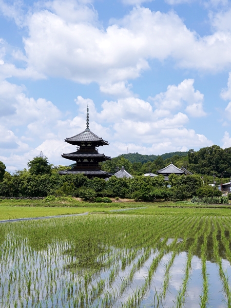 原風景 山村に残された憧憬､日本の原風景を撮る。集落風景写真 撮影の ...