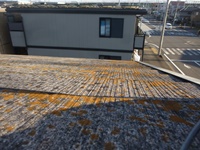 P1020061