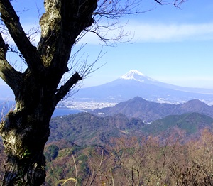 富士遠景